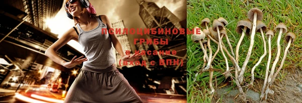 дмт Алзамай